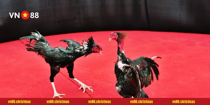 Chiến thuật thắng lớn từ những bậc thầy hàng đầu